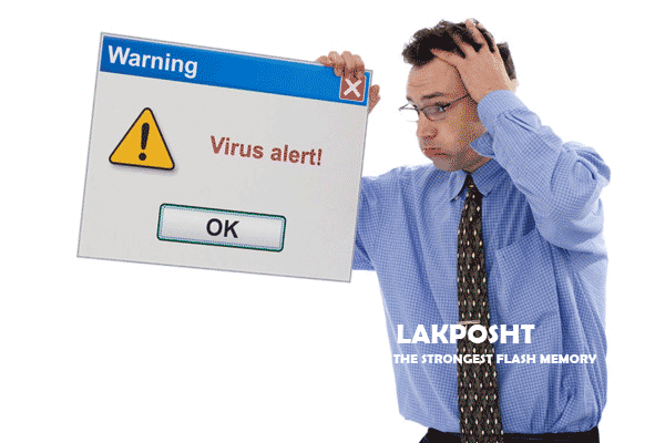 ویروس فلش,ویروس کلدیسک,نرم افزار لاکپشت
