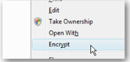  . Add Encrypt or Decrypt options to the right-click menu.
